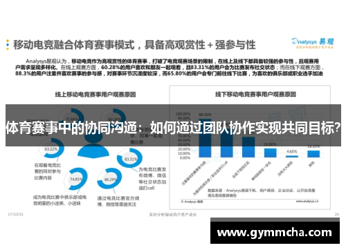 体育赛事中的协同沟通：如何通过团队协作实现共同目标？