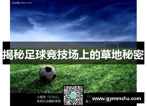 揭秘足球竞技场上的草地秘密