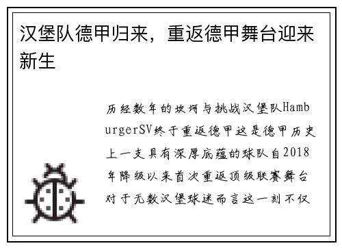 汉堡队德甲归来，重返德甲舞台迎来新生