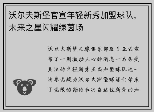 沃尔夫斯堡官宣年轻新秀加盟球队，未来之星闪耀绿茵场