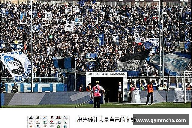 解读IM电竞